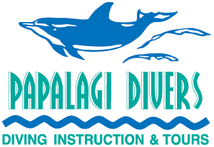 パパラギ-ダイビングスクール