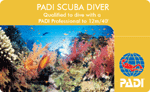 PADIスクーバダイバー！